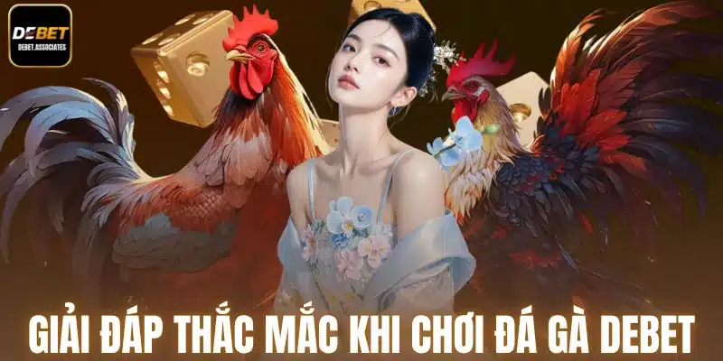 Giải đáp thắc mắc khi chơi đá gà Debet