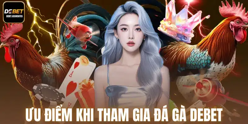Ưu điểm khi tham gia đá gà Debet